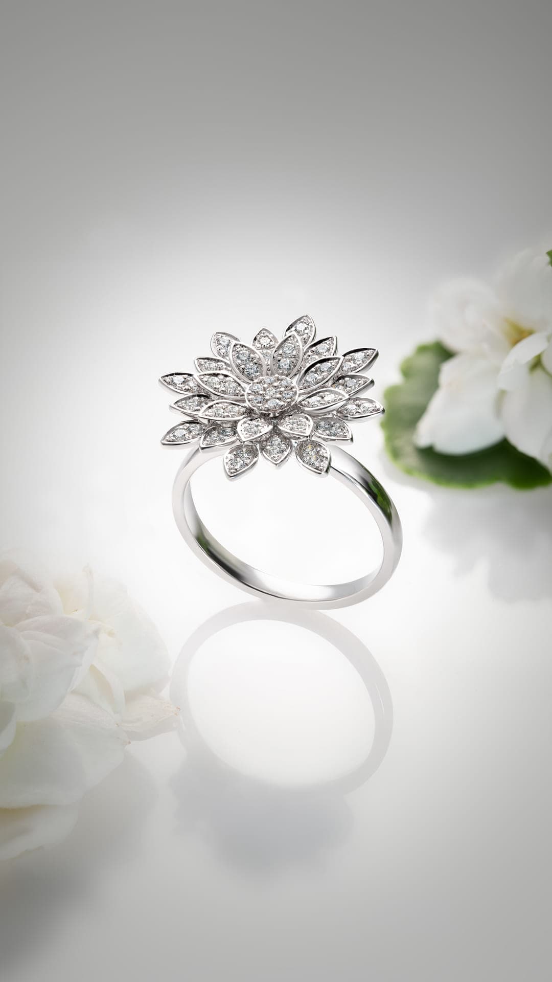 ORO Diamond and Gold (image 5)