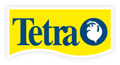 Tetra Company