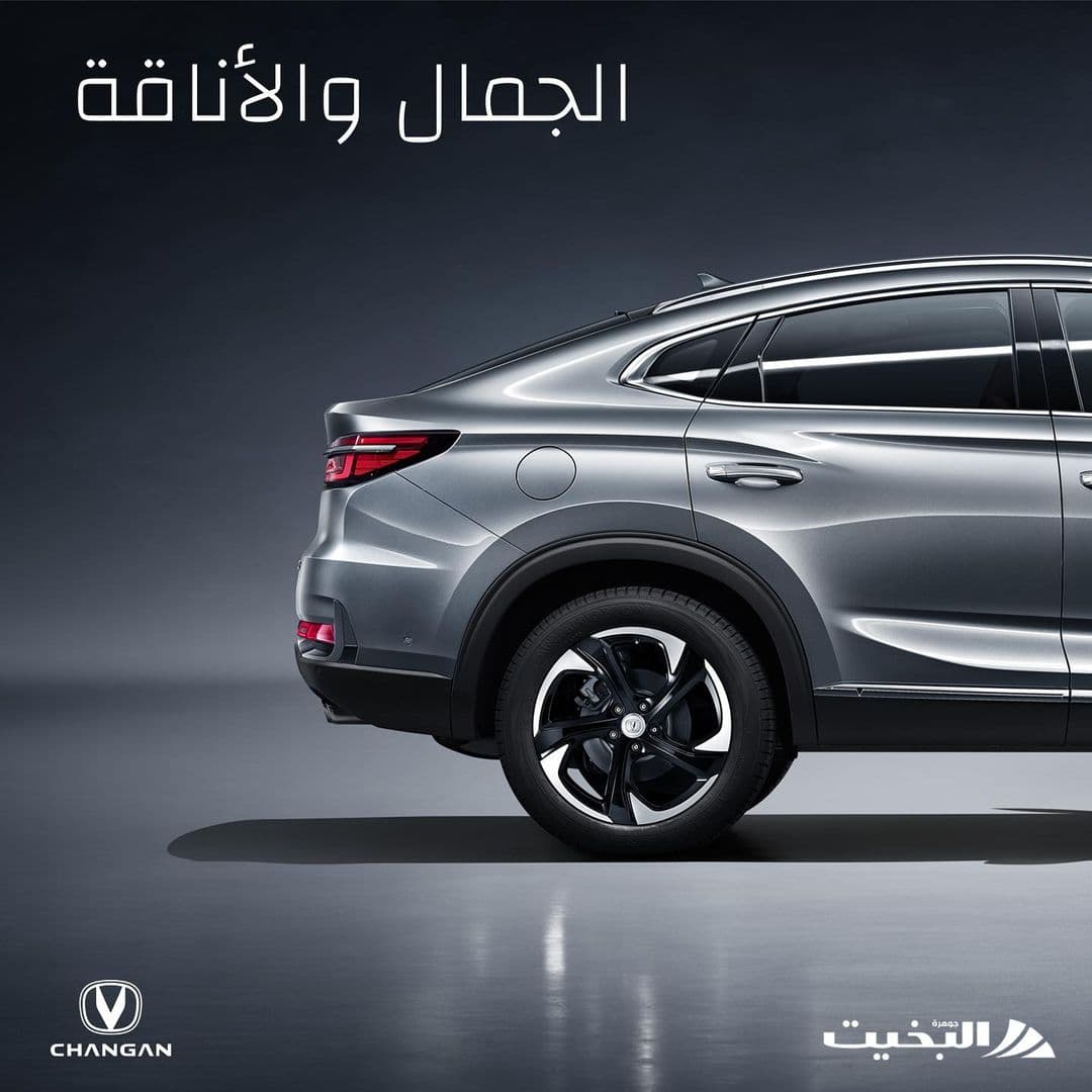 Changan Auto (image 2)