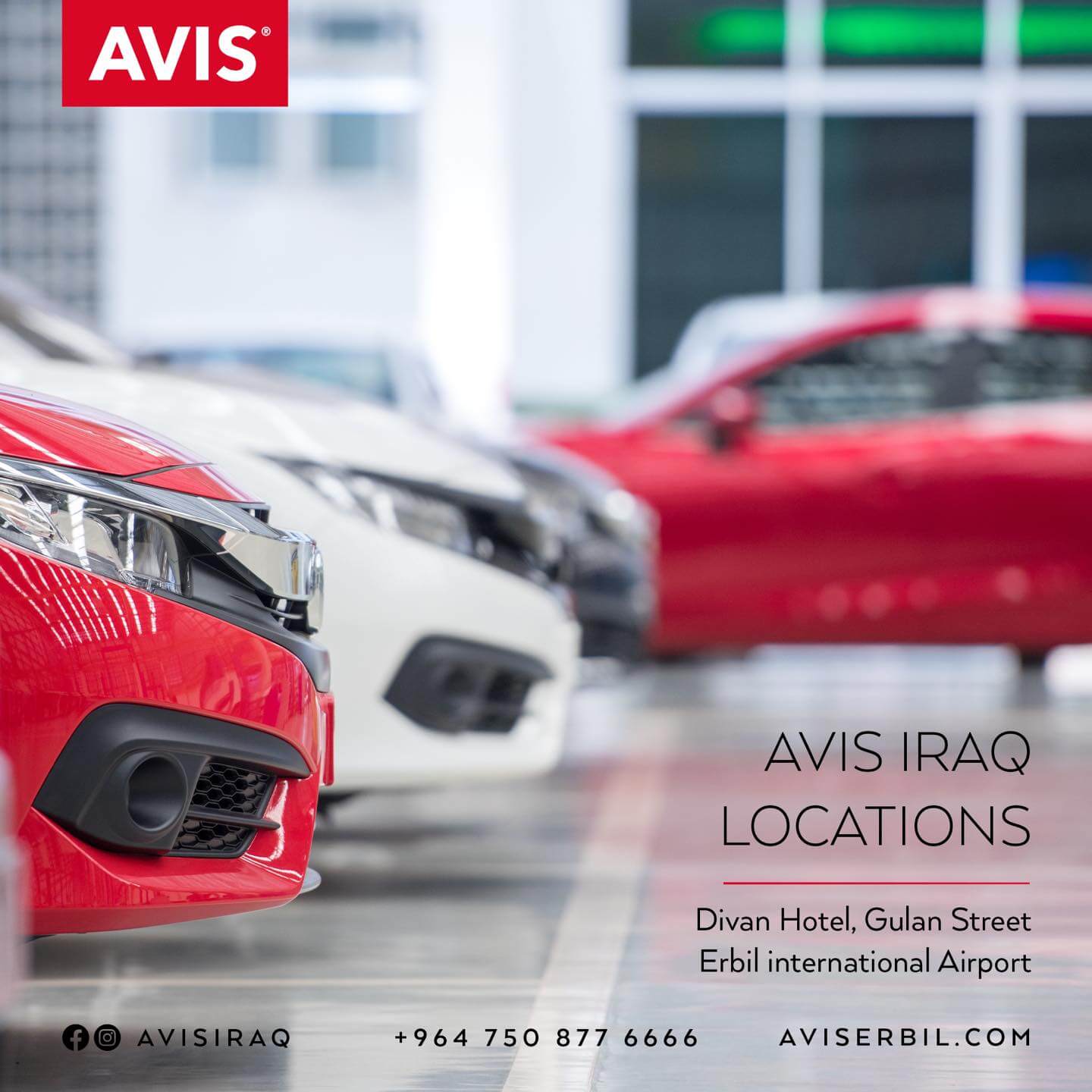 Avis Car Rental (image 22)